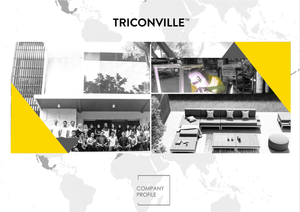 Company-Profile-Triconvile