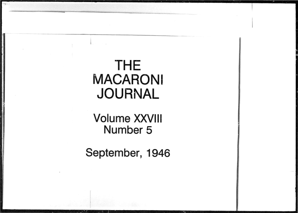 The Macaroni Journal