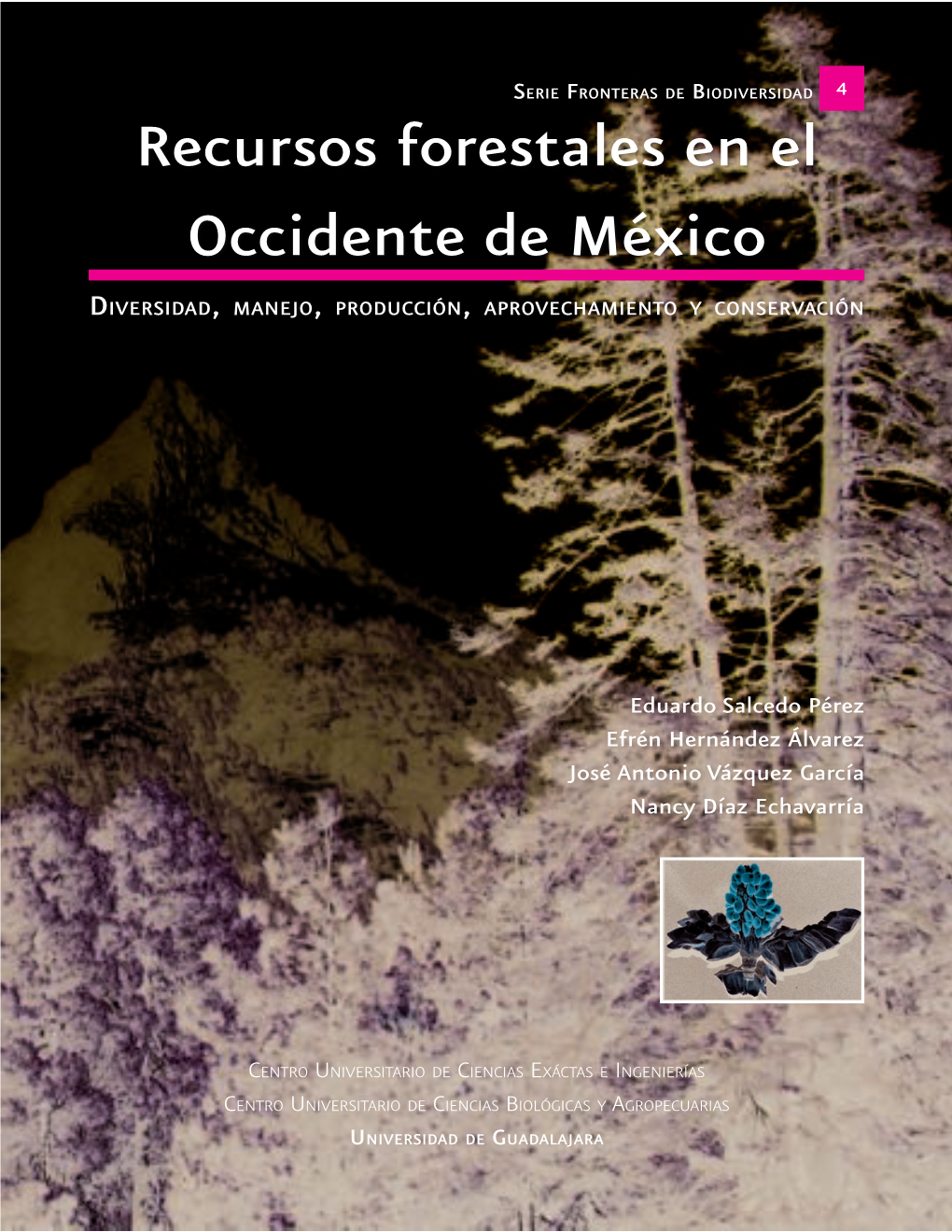 Recursos Forestales En El Occidente De México