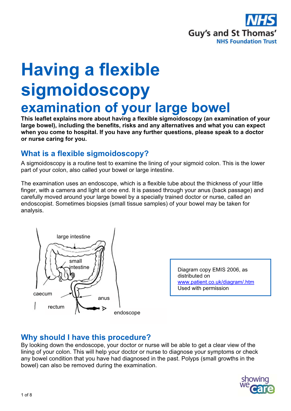 Having a Flexible Sigmoidoscopy