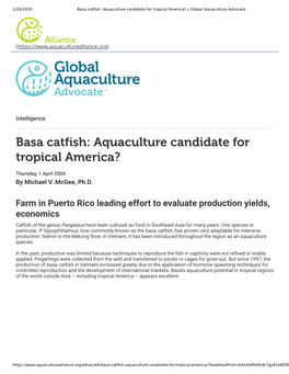 Basa Catfish: Aquaculture Candidate for Tropical America?