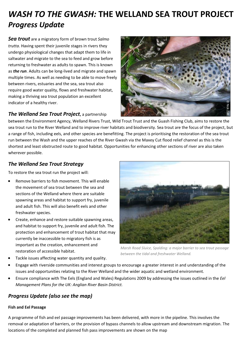 WASH to the GWASH: the WELLAND SEA TROUT PROJECT Progress Update