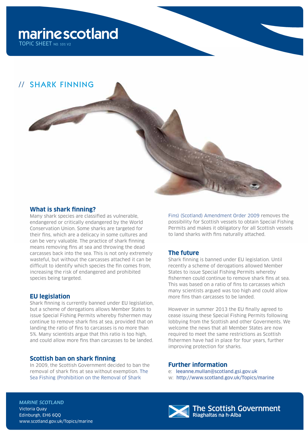 Shark Finning