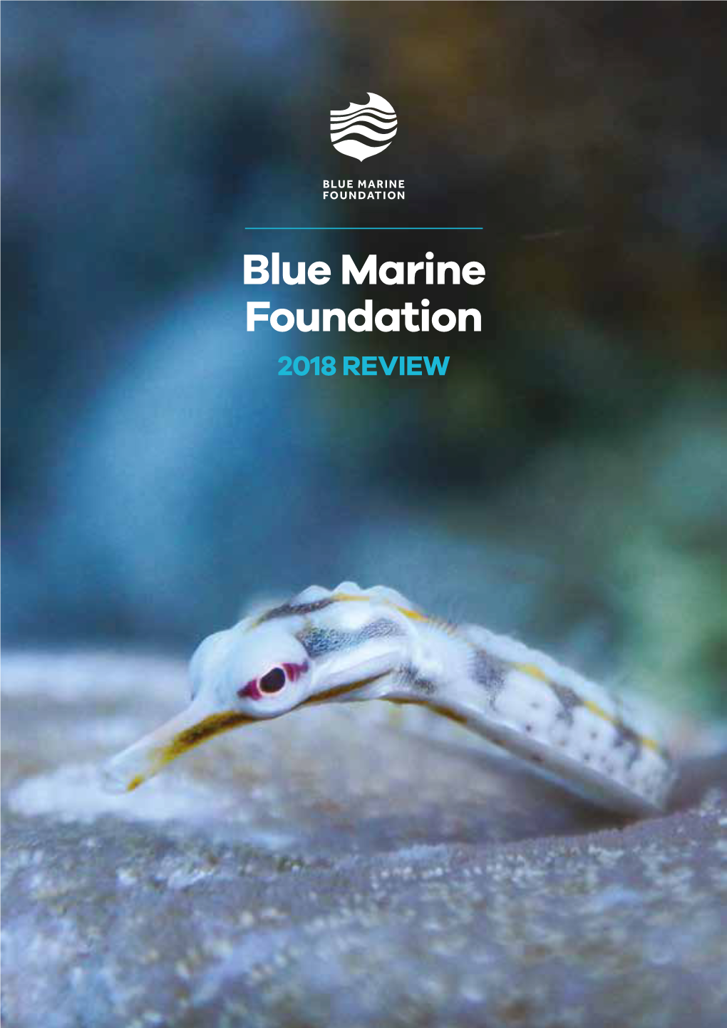 Blue Marine Foundation Review 2018