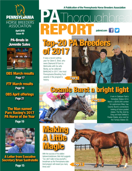 Thoroughbred Pabred.Com April 2018 Pabred.Com Issue 49 REPORT PA-Breds in Juvenile Sales Top-20 PA Breeders of 2017 It Was a Record-Setting Year for Glenn E