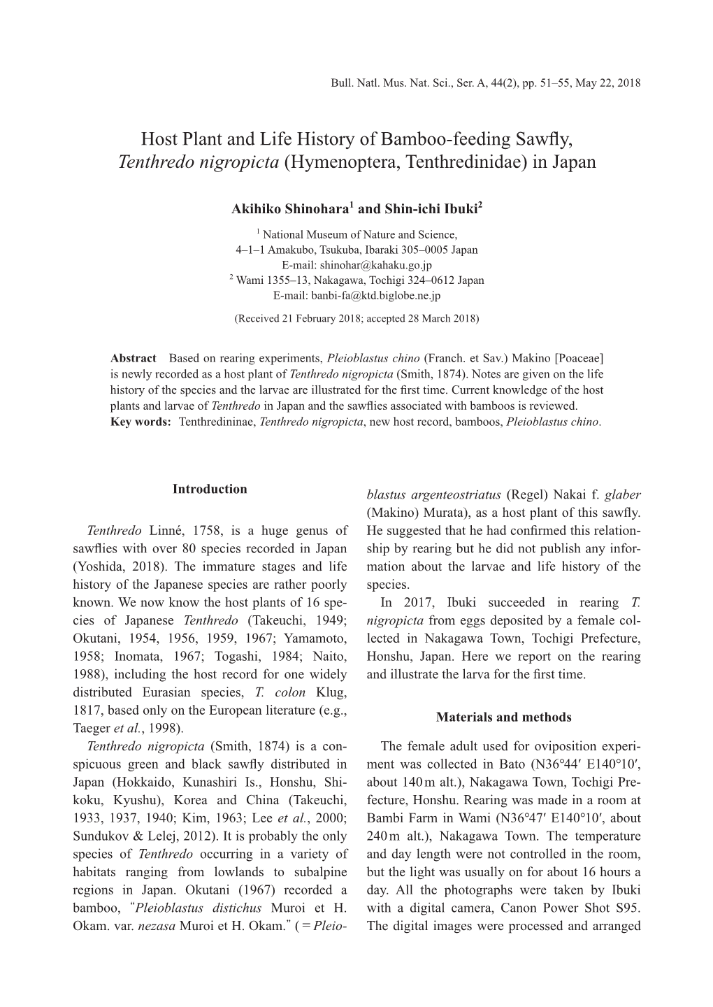 Host Plant and Life History of Bamboo-Feeding Sawfly, Tenthredo