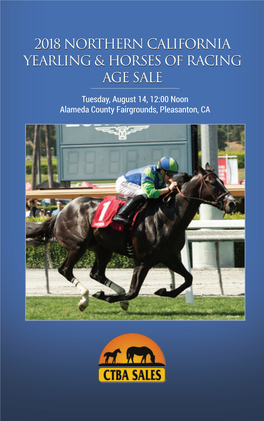 2018 Northern California Yearling & Horses of Racing Age Sale