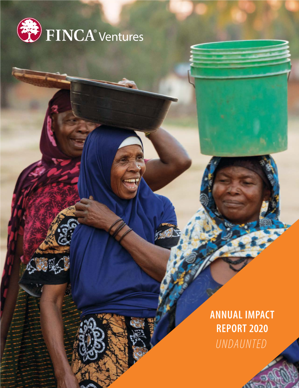 Undaunted Finca Ventures Annual Impact Report 2020