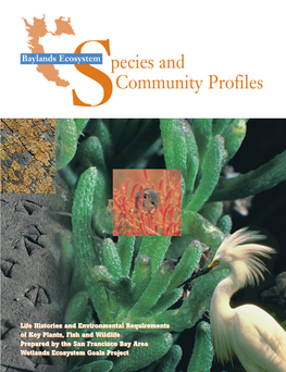 2000 Baylands Ecosystem Species and Community Profiles
