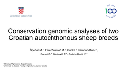 Conservation Genomic Analyses of Two Croatian Autochthonous Sheep Breeds