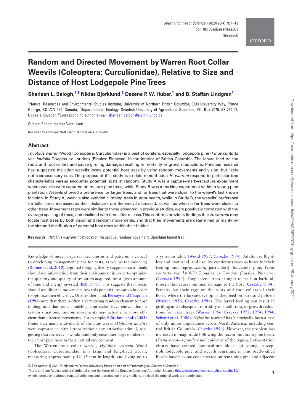 Random and Directed Movement by Warren Root Collar Weevils (Coleoptera: Curculionidae), Relative to Size and Distance of Host Lodgepole Pine Trees