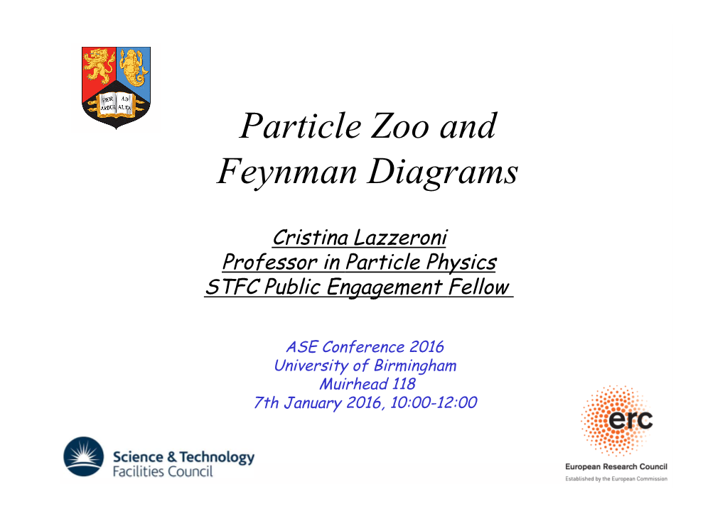 Particle Zoo and Feynman Diagrams