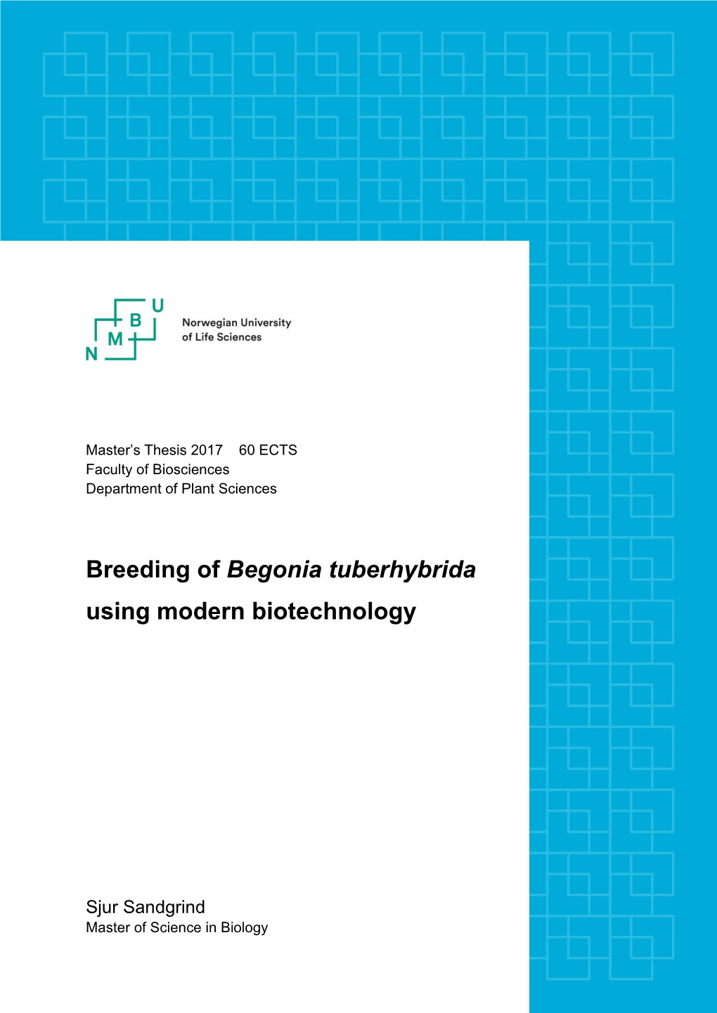 Breeding of Begonia Tuberhybrida Using Modern Biotechnology