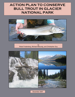 Action Plan to Conserve Bull Trout in Glacier National Park, Montana