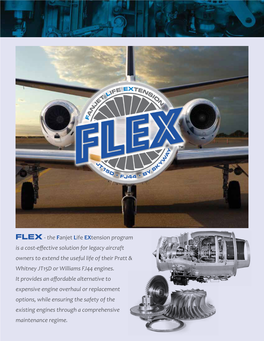 FLEX Program Brochure