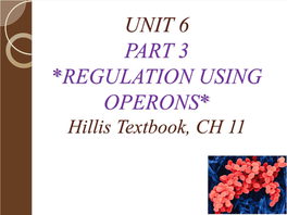UNIT 6 from DNA to Protein: Gene Expression PART 2 Hillis Textbook