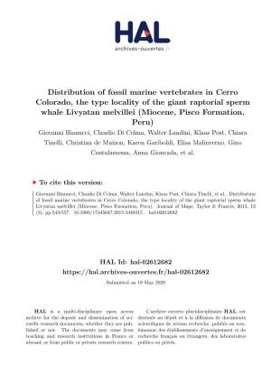 Distribution of Fossil Marine Vertebrates in Cerro Colorado, The