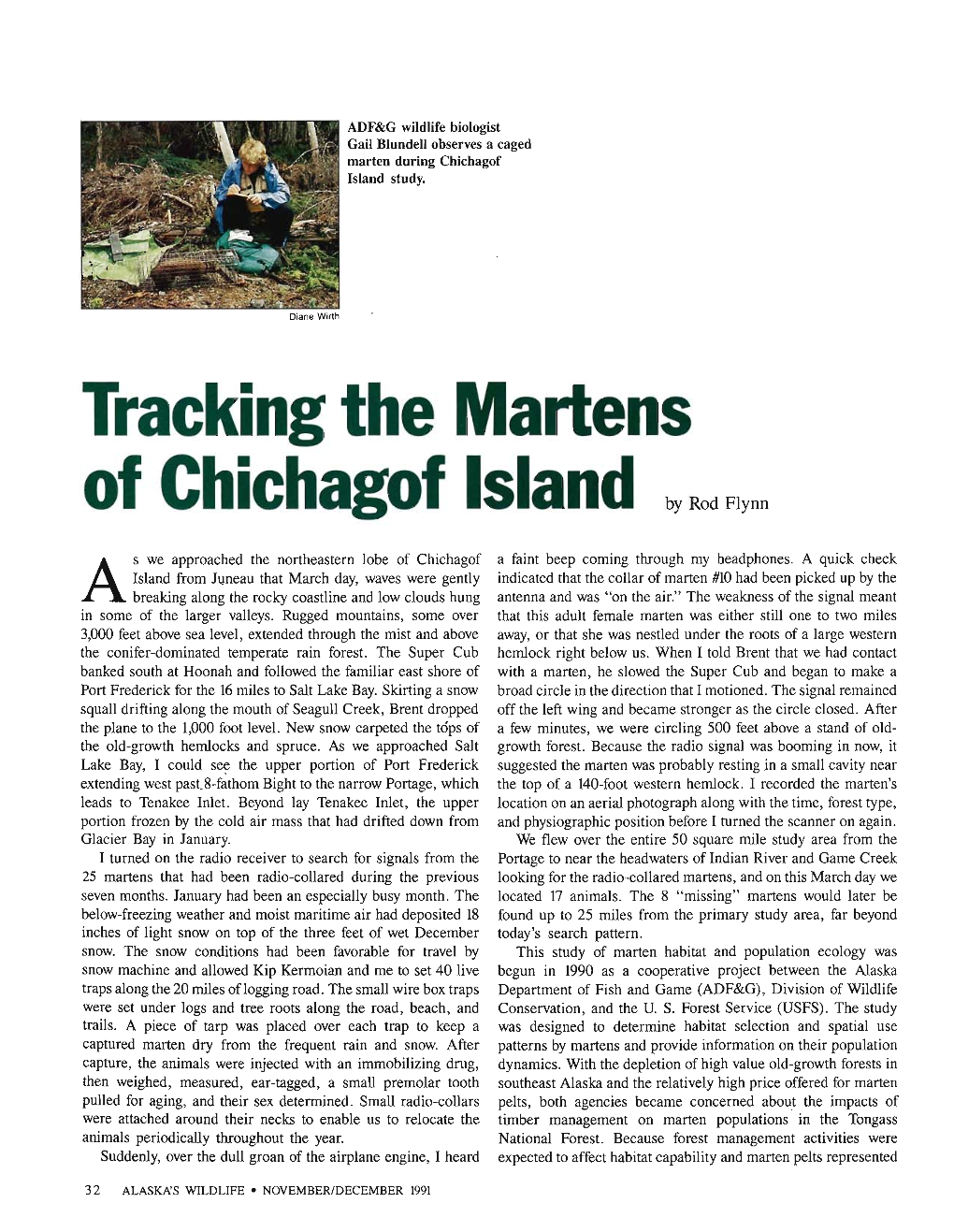 Tracking the Martens of Chichagof Island by Rod Flynn