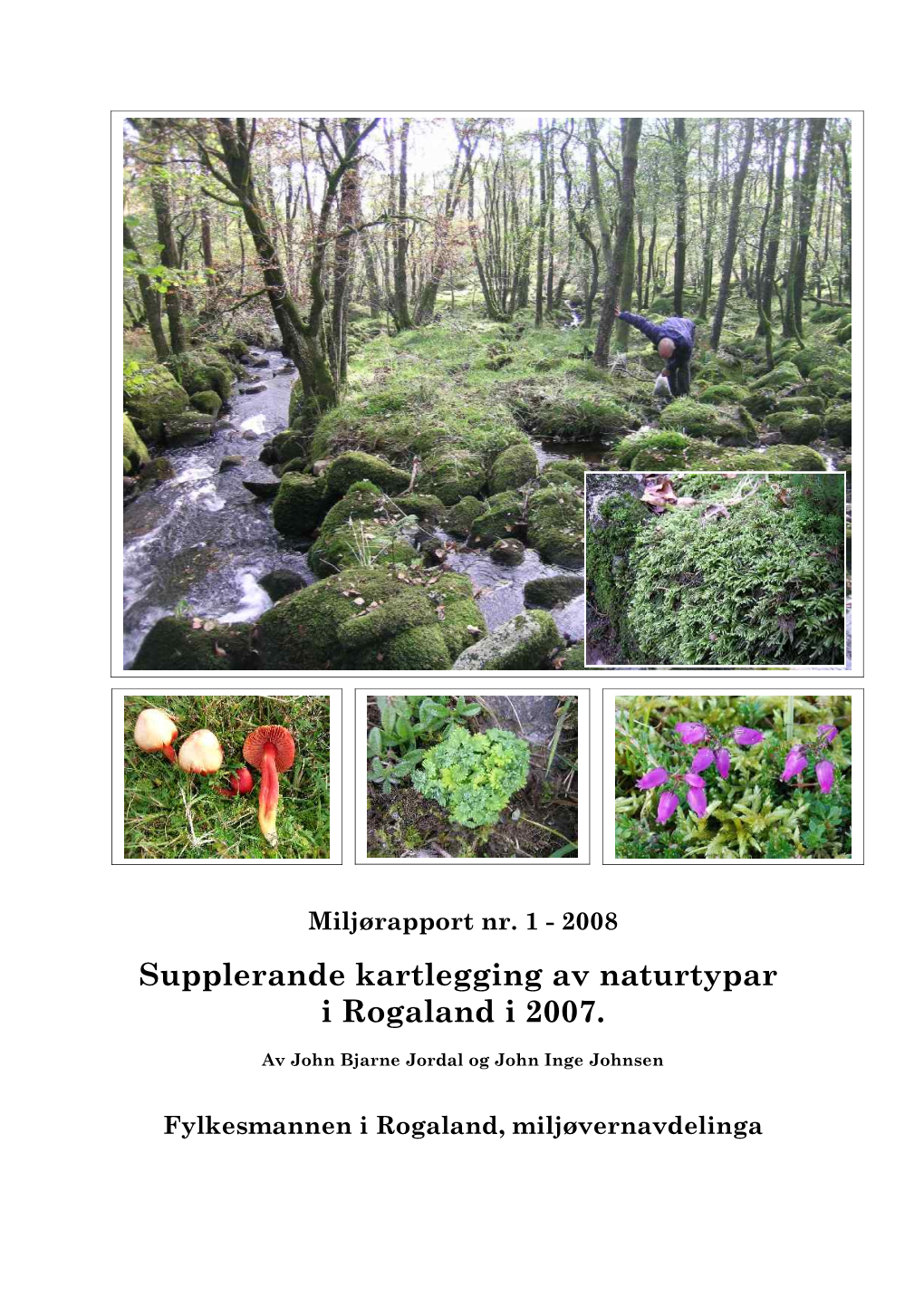 Supplerande Kartlegging Av Naturtypar I Rogaland I 2007
