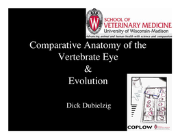 Comparative Anatomy of the Vertebrate Eye! &! Evolution"