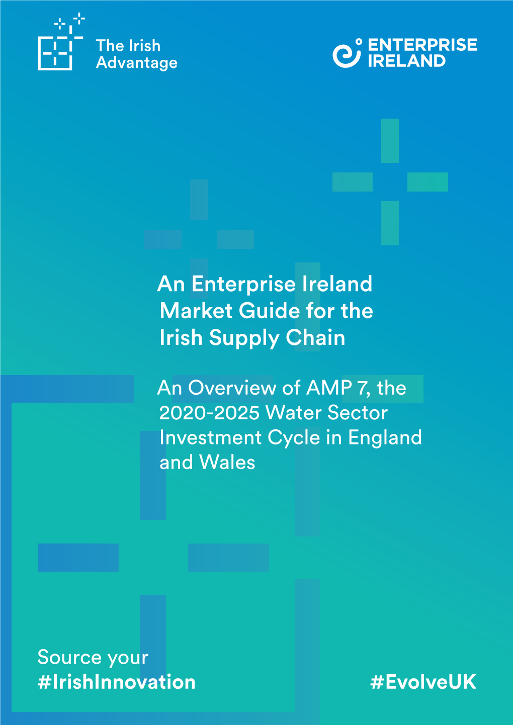 An Enterprise Ireland Market Guide for the Irish Supply Chain
