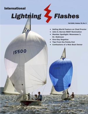 International Lightning Flashes