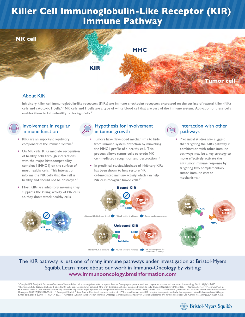 KIR) Immune Pathway