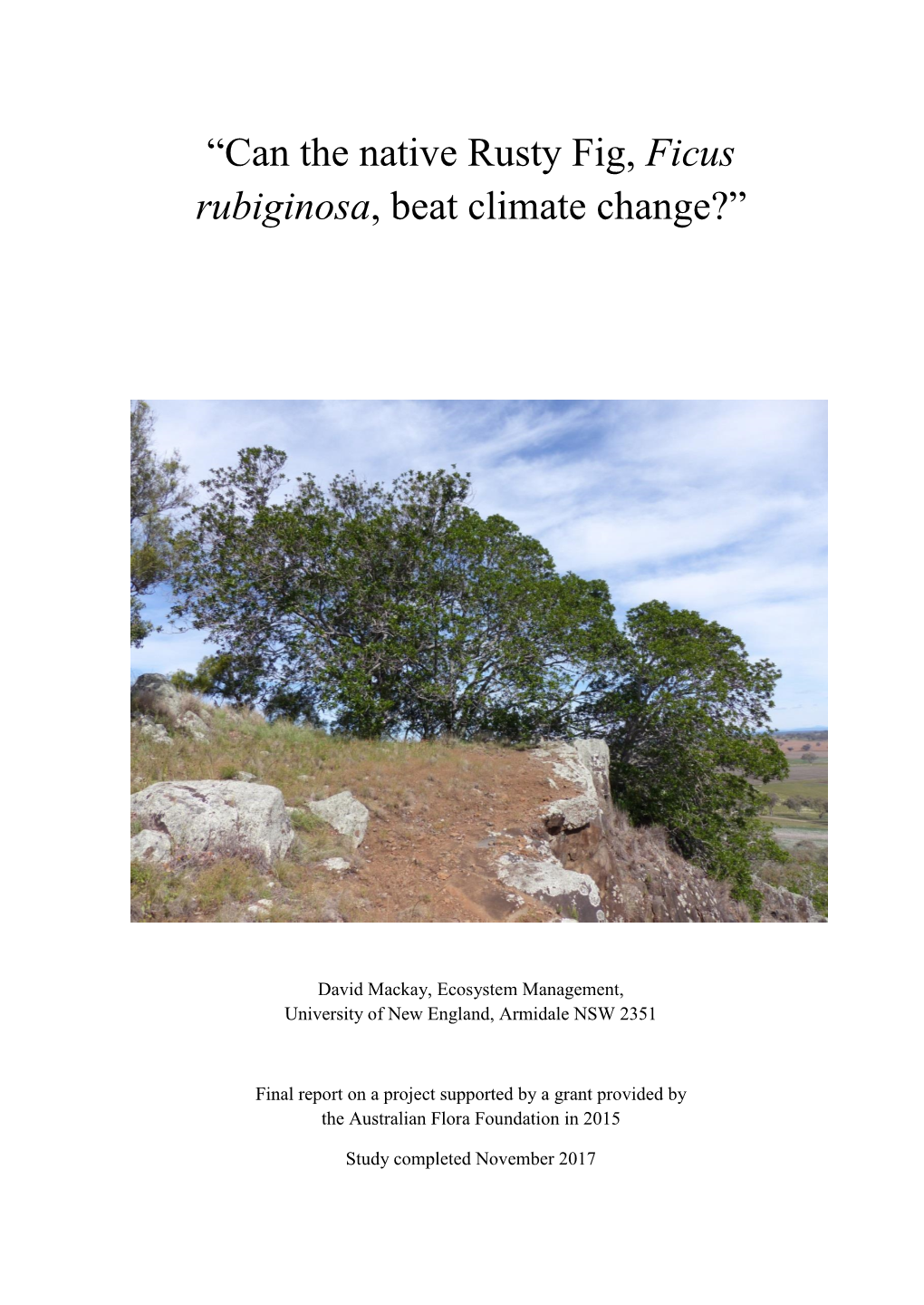 “Can the Native Rusty Fig, Ficus Rubiginosa, Beat Climate Change?”