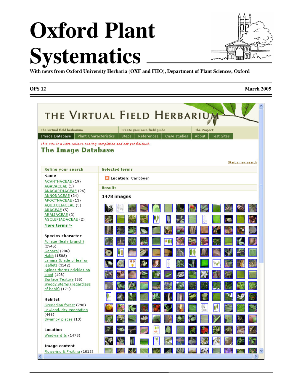 Oxford Plant Systematics OPS 12 March 2005