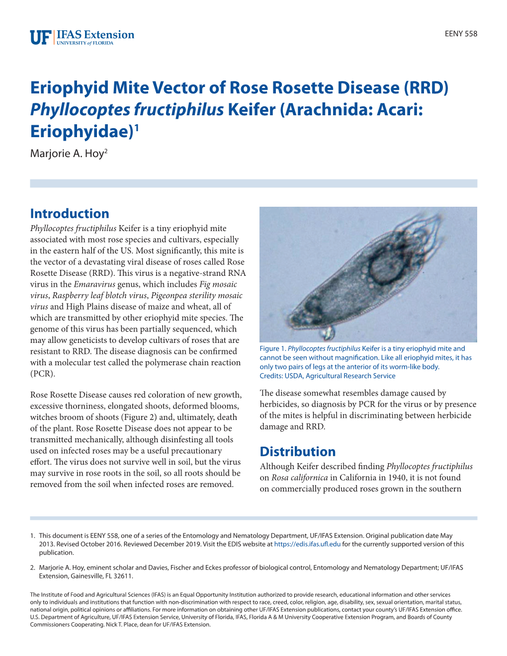 Eriophyid Mite Vector of Rose Rosette Disease (RRD) Phyllocoptes Fructiphilus Keifer (Arachnida: Acari: Eriophyidae)1 Marjorie A