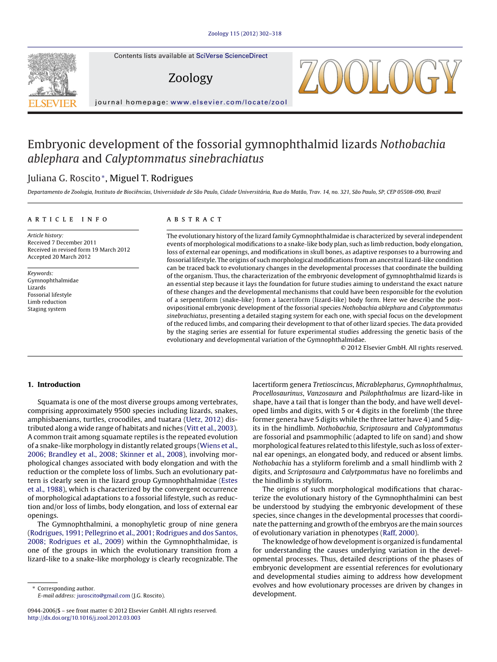 Embryonic Development of the Fossorial Gymnophthalmid Lizards Nothobachia