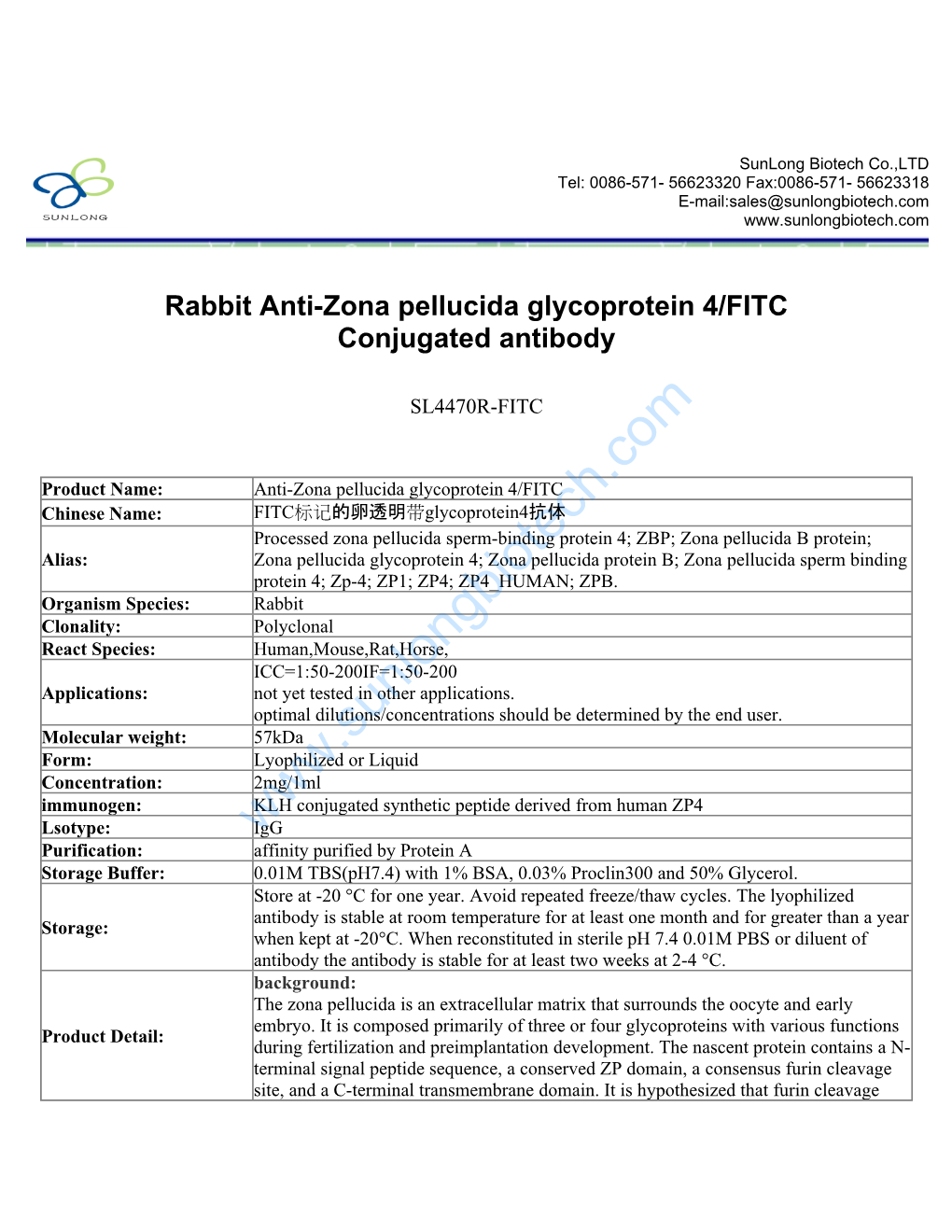 Rabbit Anti-Zona Pellucida Glycoprotein 4/FITC Conjugated Antibody