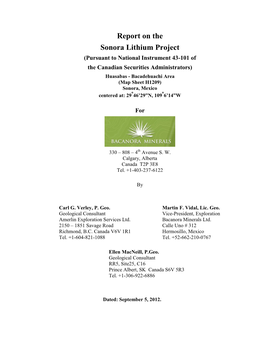 Report on the Sonora Lithium Project