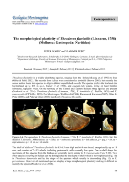 The Morphological Plasticity of Theodoxus Fluviatilis (Linnaeus, 1758) (Mollusca: Gastropoda: Neritidae)