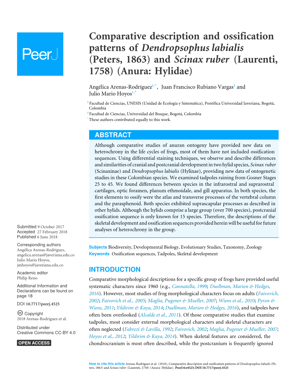 Comparative Description and Ossification Patterns of Dendropsophus Labialis (Peters, 1863) and Scinax Ruber (Laurenti, 1758) (Anura: Hylidae)