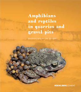 Amphibians and Reptiles in Quarries and Gravel Pits