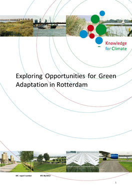 Exploring Opportunities for Green Adaptation in Rotterdam