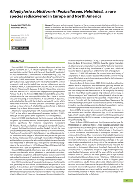Allophylaria Subliciformis (Pezizellaceae, Helotiales), a Rare Species Rediscovered in Europe and North America