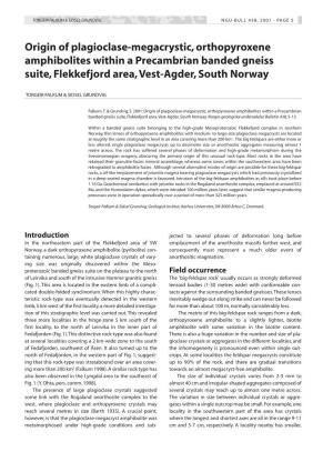 Origin of Plagioclase-Megacrystic, Orthopyroxene Amphibolites Within a Precambrian Banded Gneiss Suite, Flekkefjord Area,Vest-Agder, South Norway