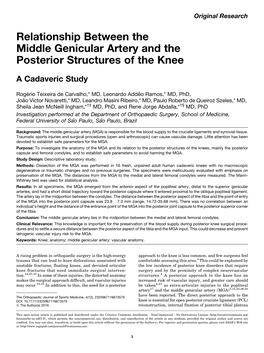 Relationship Between the Middle Genicular Artery and the Posterior Structures of the Knee