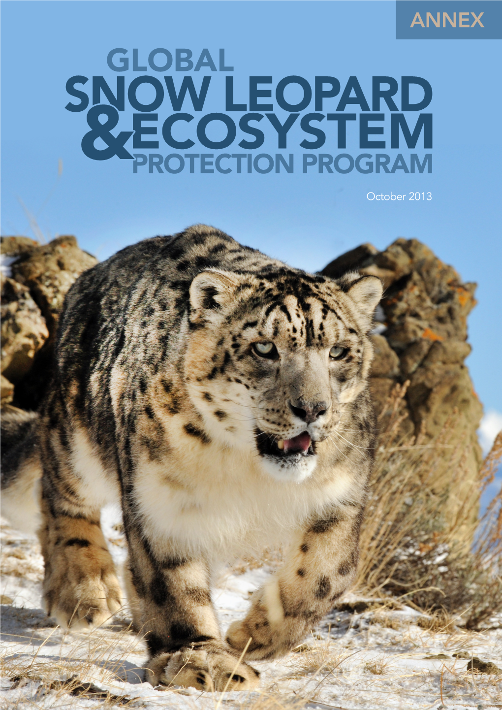 Snow Leopard Ecosystem &Protection Program