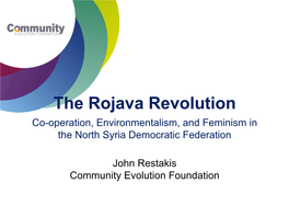 The Rojava Revolution Co-Operation, Environmentalism, and Feminism in the North Syria Democratic Federation