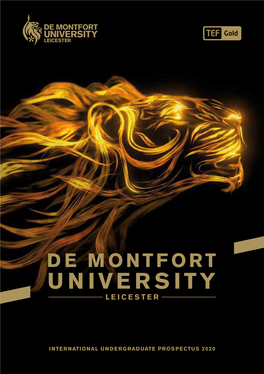 DMU International UG Prospectus 2020.Pdf