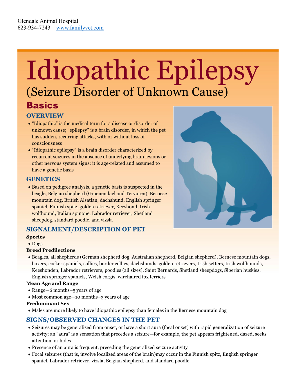 Idiopathic Epilepsy