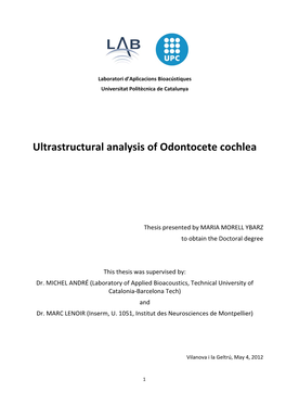 Ultrastructural Analysis of Odontocete Cochlea