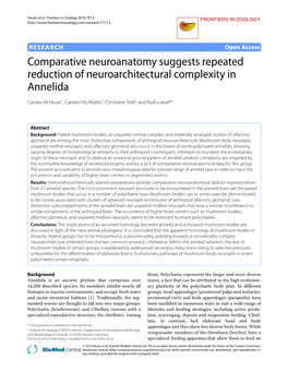 Research Comparative Neuroanatomy Suggests Repeated Reduction Of