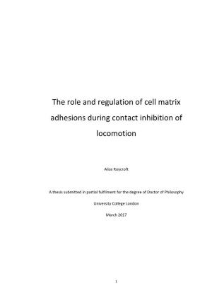 The Role and Regulation of Cell Matrix Adhesions During Contact Inhibition of Locomotion