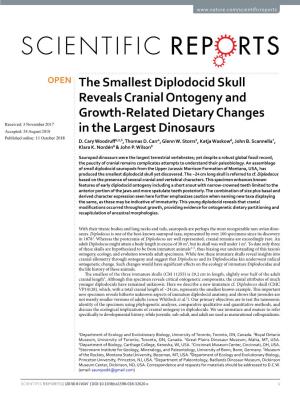 The Smallest Diplodocid Skull Reveals Cranial Ontogeny And