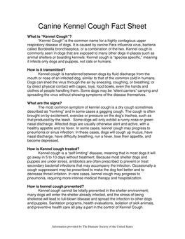 Canine Kennel Cough Fact Sheet