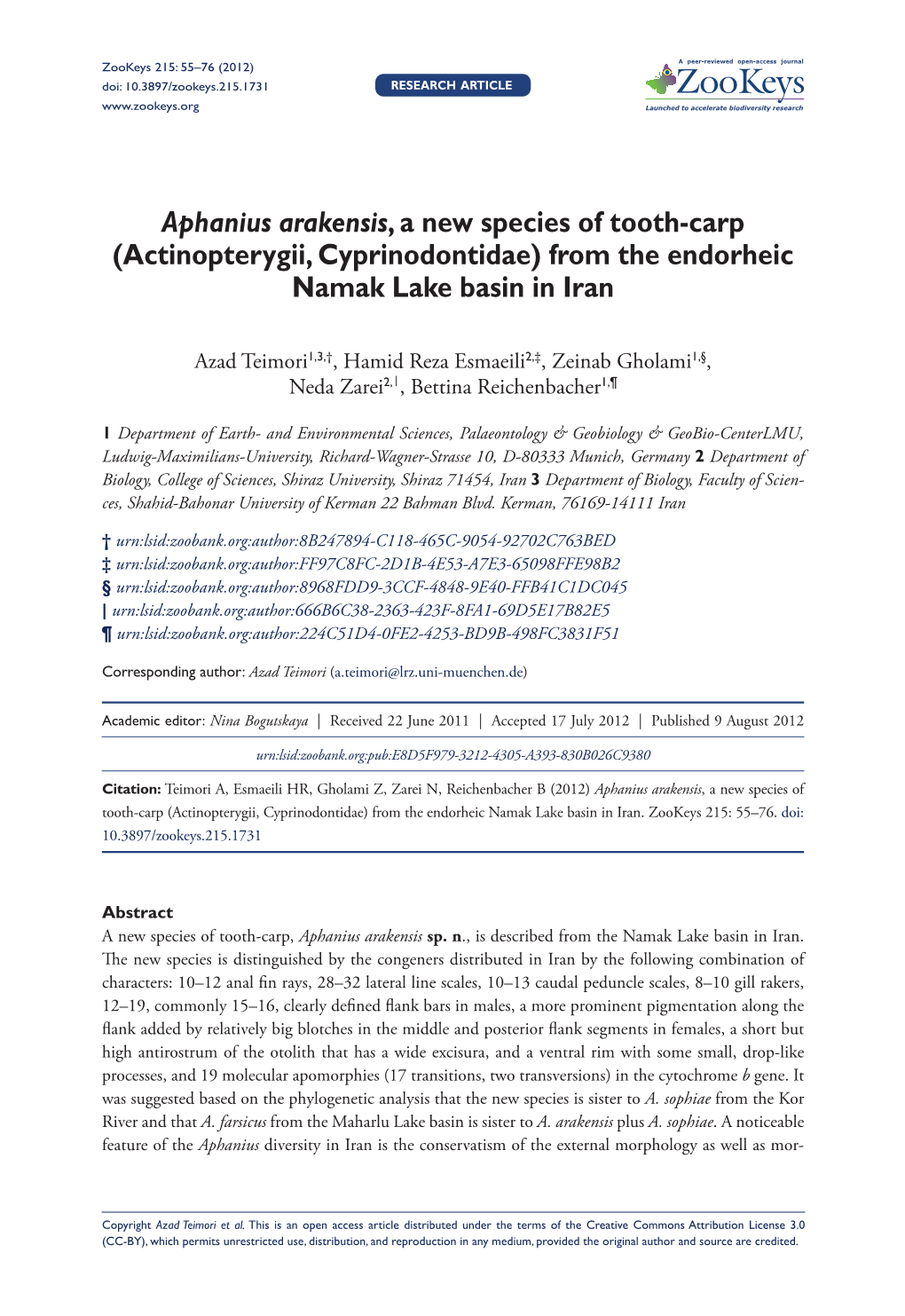 Aphanius Arakensis, a New Species of Tooth-Carp (Cyprinodontidae)